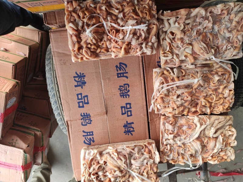鹅肠批发九尺鹅肠整根鹅肠批发