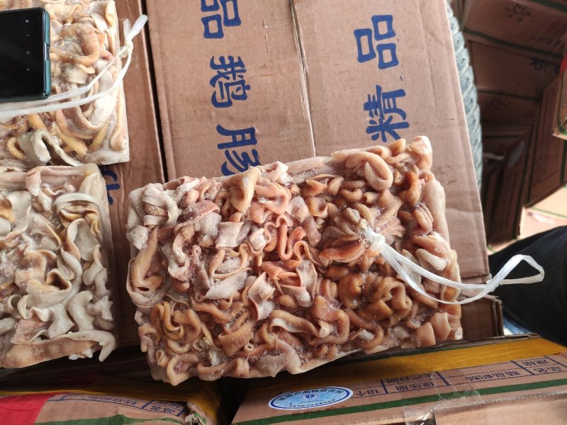 鹅肠批发九尺鹅肠整根鹅肠批发