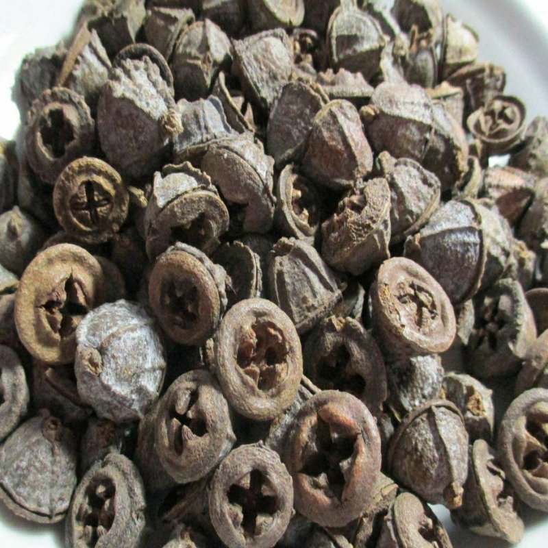 中药一口钟货好量大别称云南白树球，扣子七，胜利果。