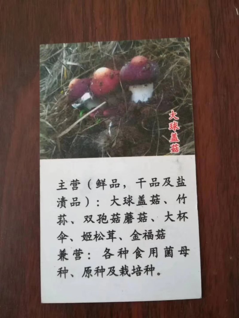 蘑菇种子，菌种，食用菌菌种，竹荪原种，二级种