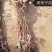 柿子苗树苗产地直发质量好，欢迎下单视频看货