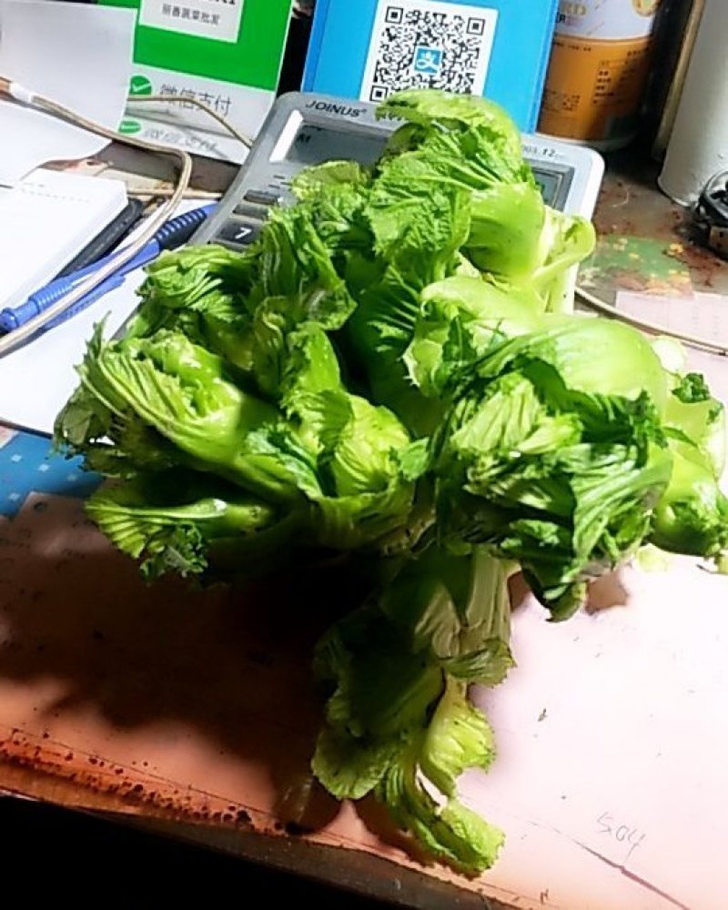 儿菜