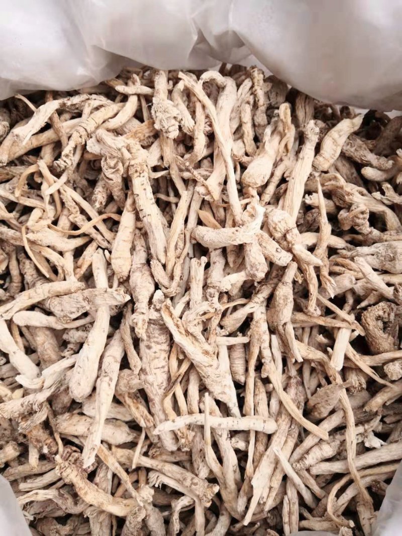 南沙参泡参无硫新货可食用可打粉有好货