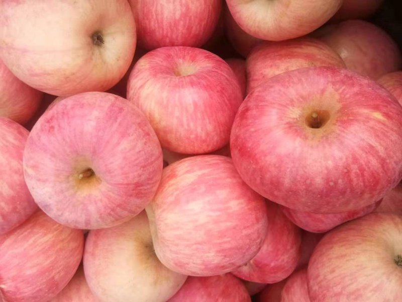 苹果🍎