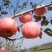苹果🍎