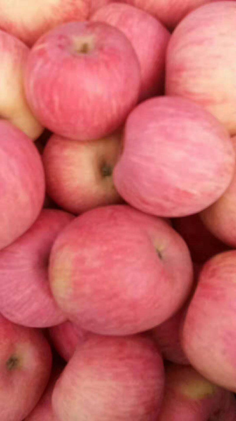 苹果🍎