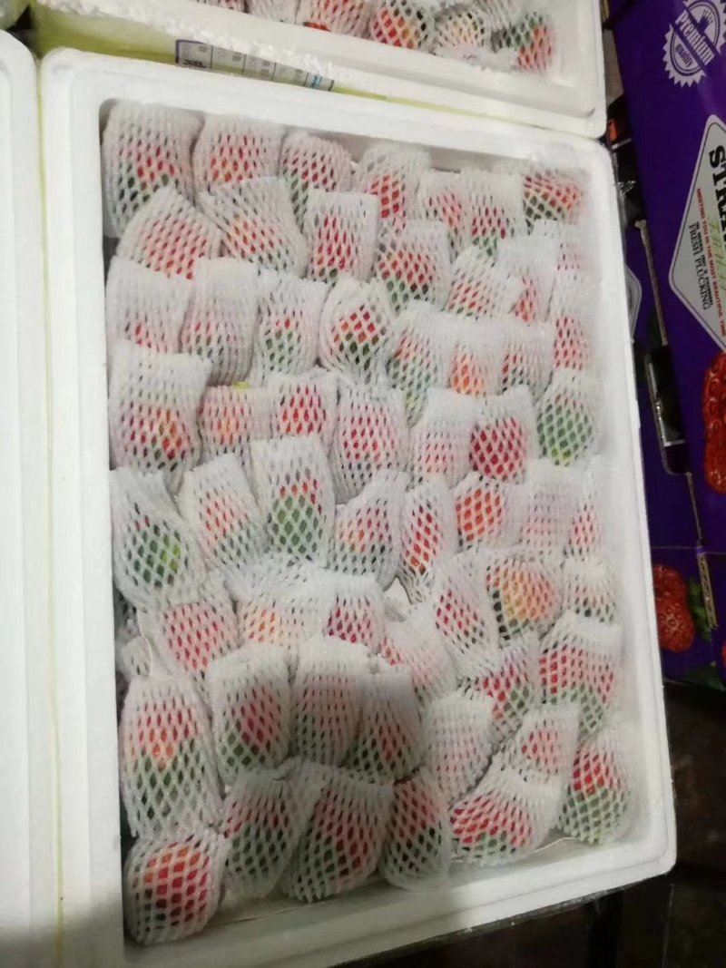 草莓
