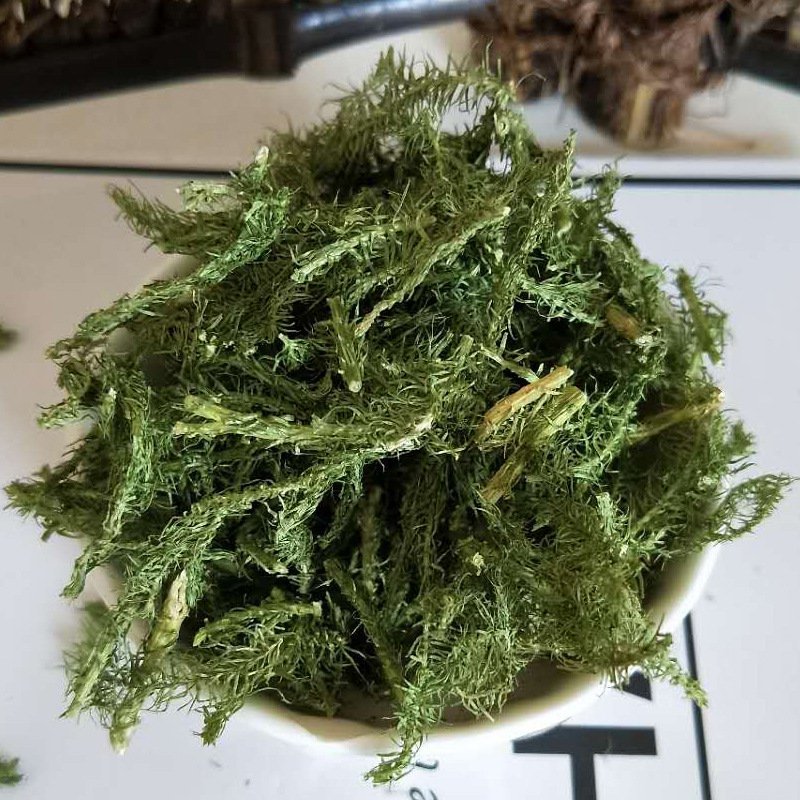 伸筋草顺筋草正品专营中药批发品质保证
