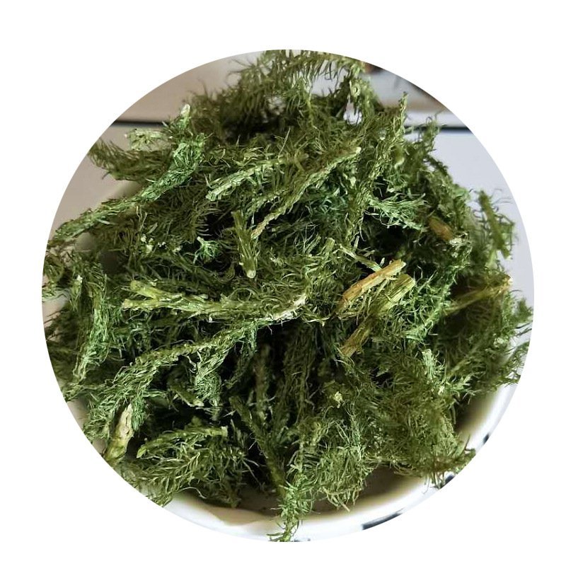 伸筋草顺筋草正品专营中药批发品质保证