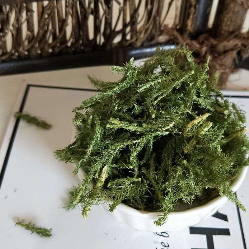 伸筋草顺筋草正品专营中药批发品质保证