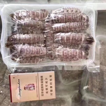 原浆熟冻皮皮虾肉厂家大量供应