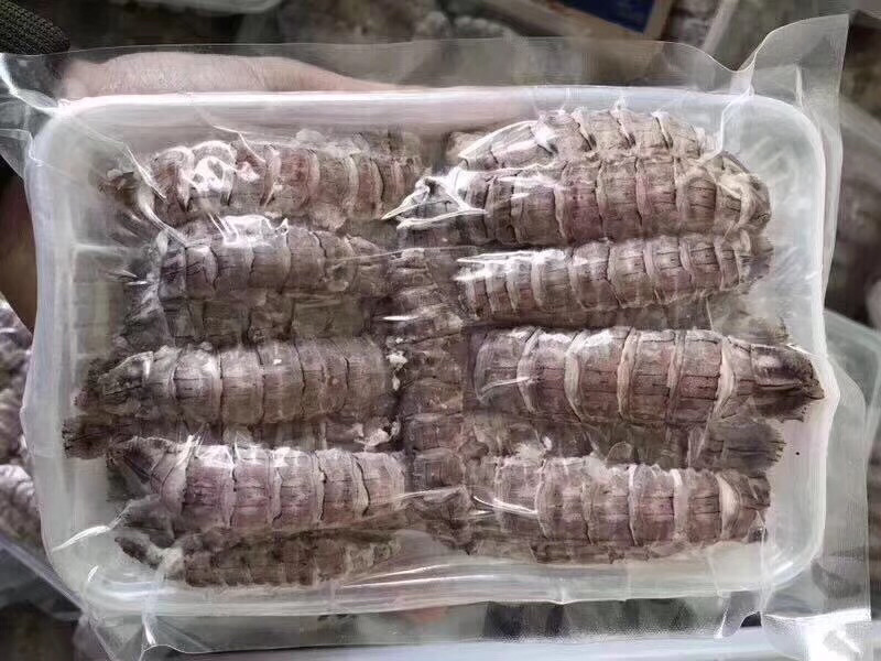 原浆熟冻皮皮虾肉厂家大量供应