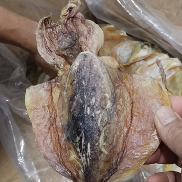 墨鱼干