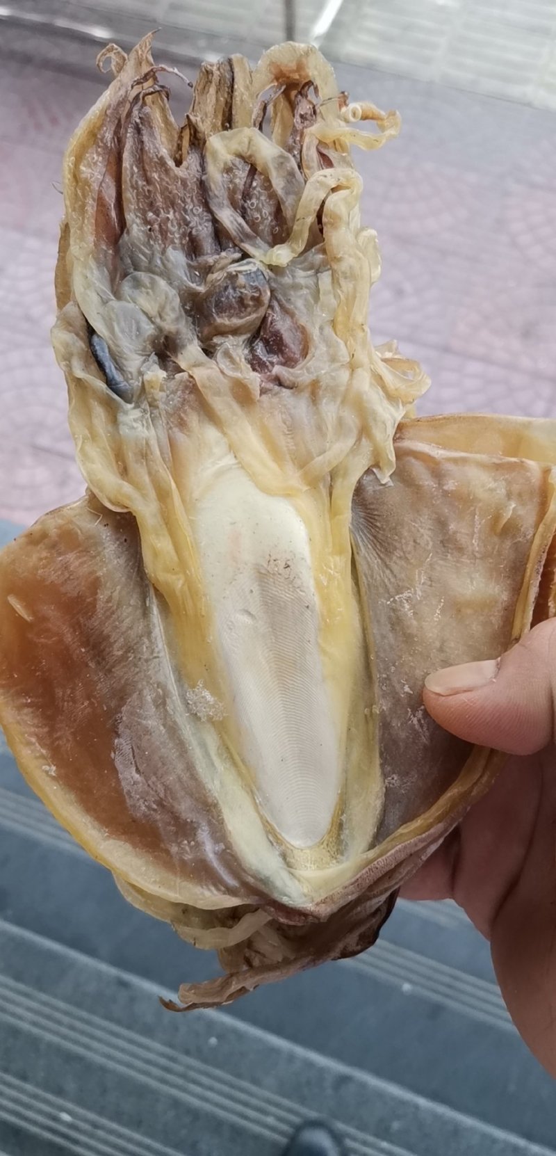 墨鱼干