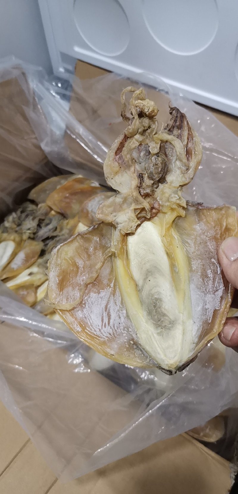墨鱼干