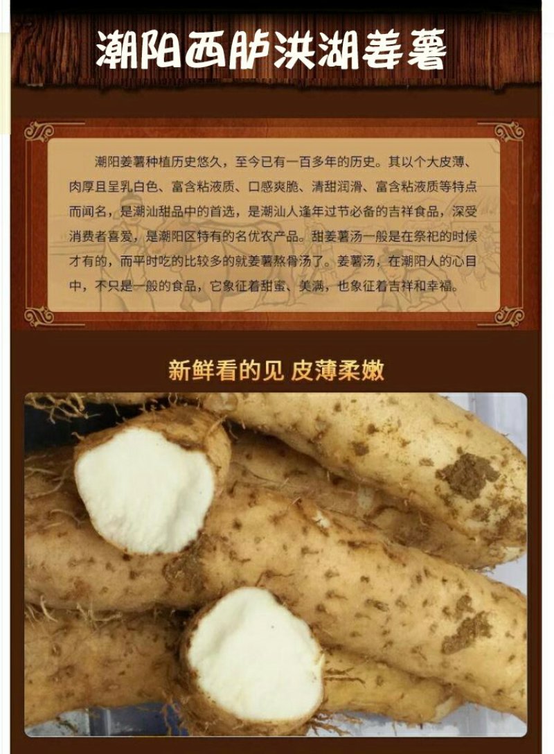 潮汕特产姜薯新鲜现挖场地直销一手货源