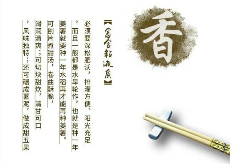 潮汕特产姜薯新鲜现挖场地直销一手货源