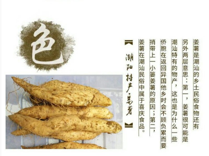 潮汕特产姜薯新鲜现挖场地直销一手货源