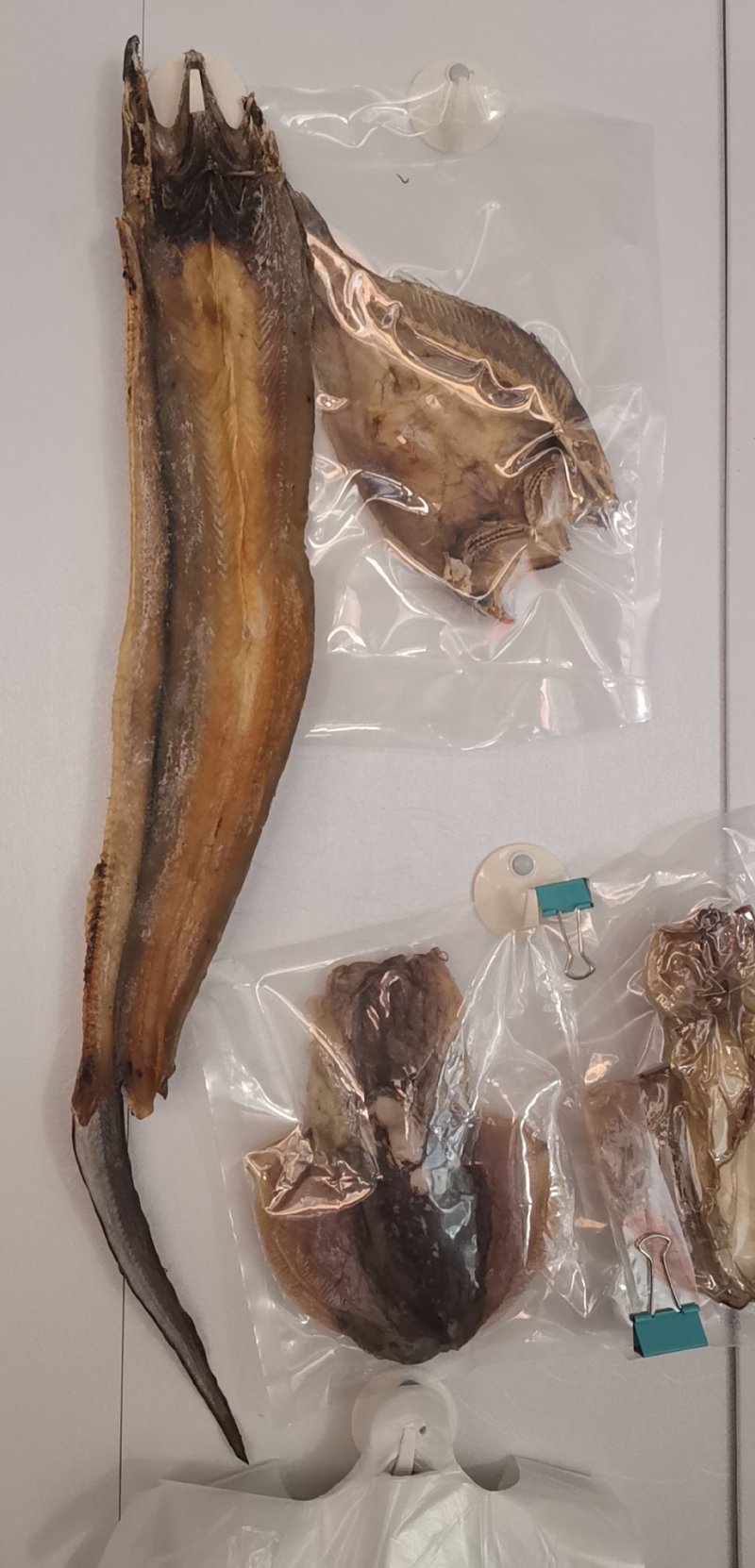 鳗鱼干