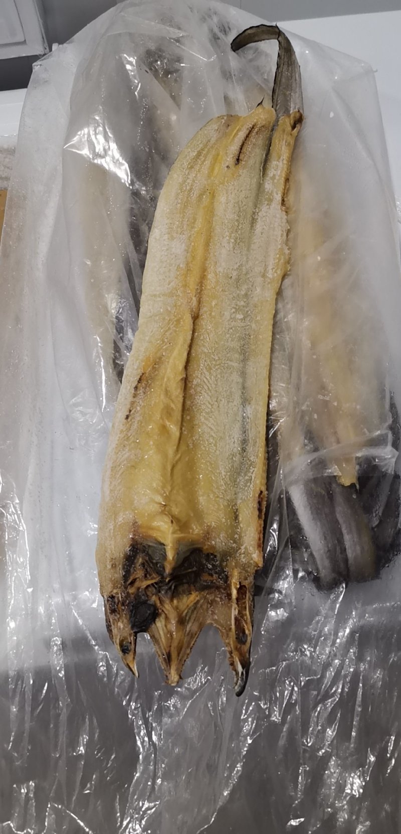 鳗鱼干