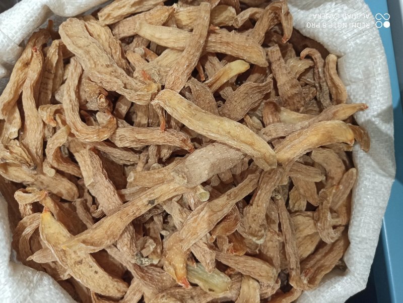 天麻籽麻天麻粉可打粉专营中药品质保证