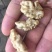 薄皮核桃