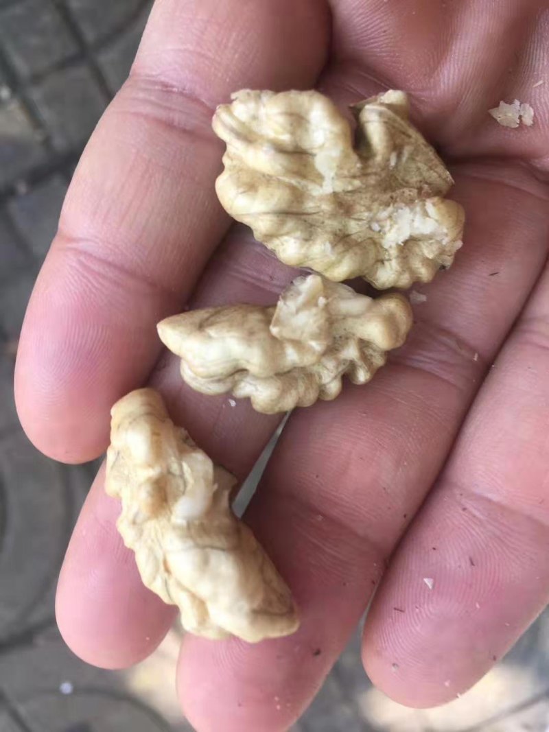 薄皮核桃