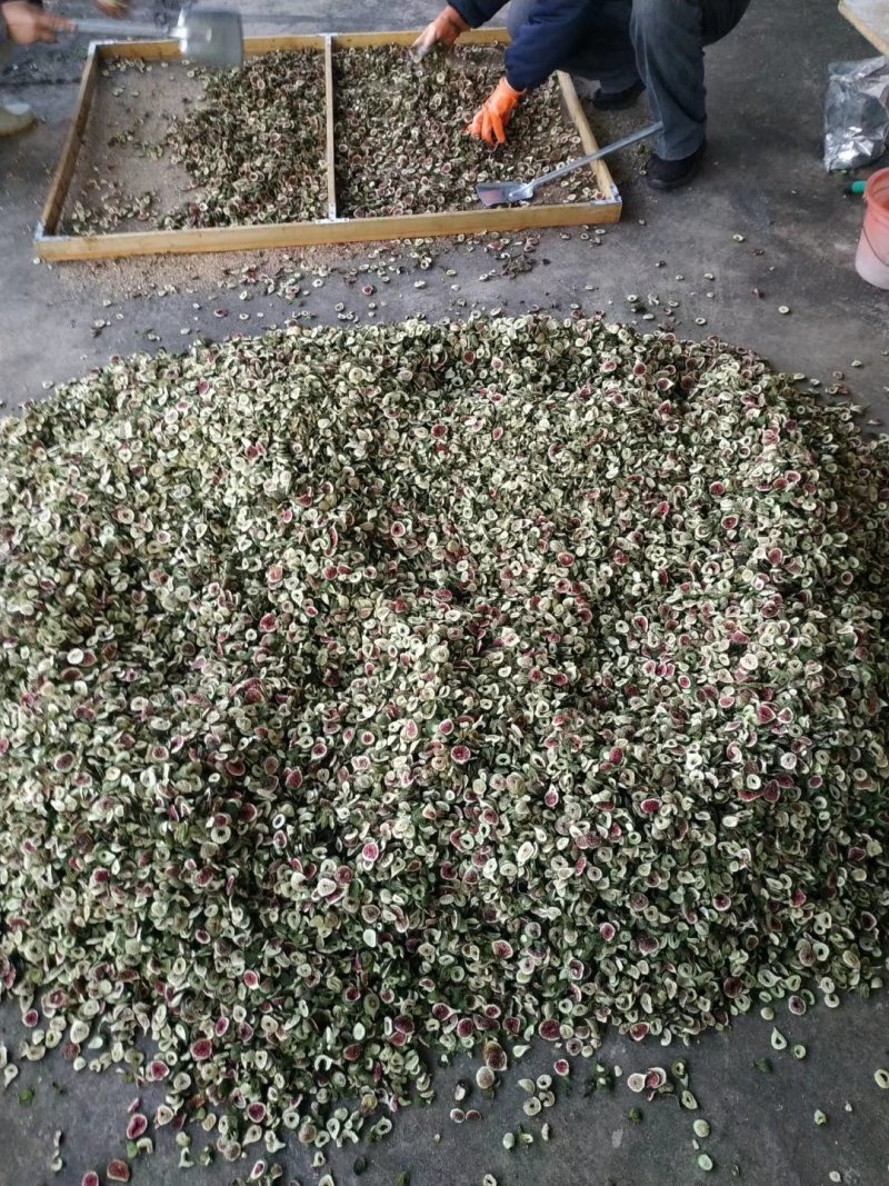 青皮无花果果豆切片低温烘干果干茶少量上市