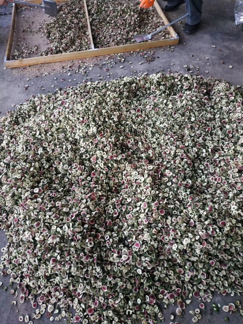 青皮无花果果豆切片低温烘干果干茶少量上市