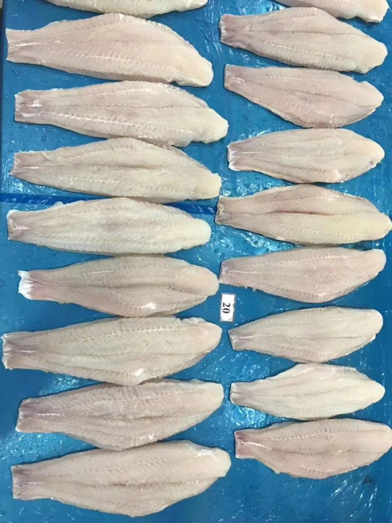 巴沙鱼