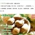 新疆特产手剥小银杏开口白硬壳500g坚果干果厂家直销包邮