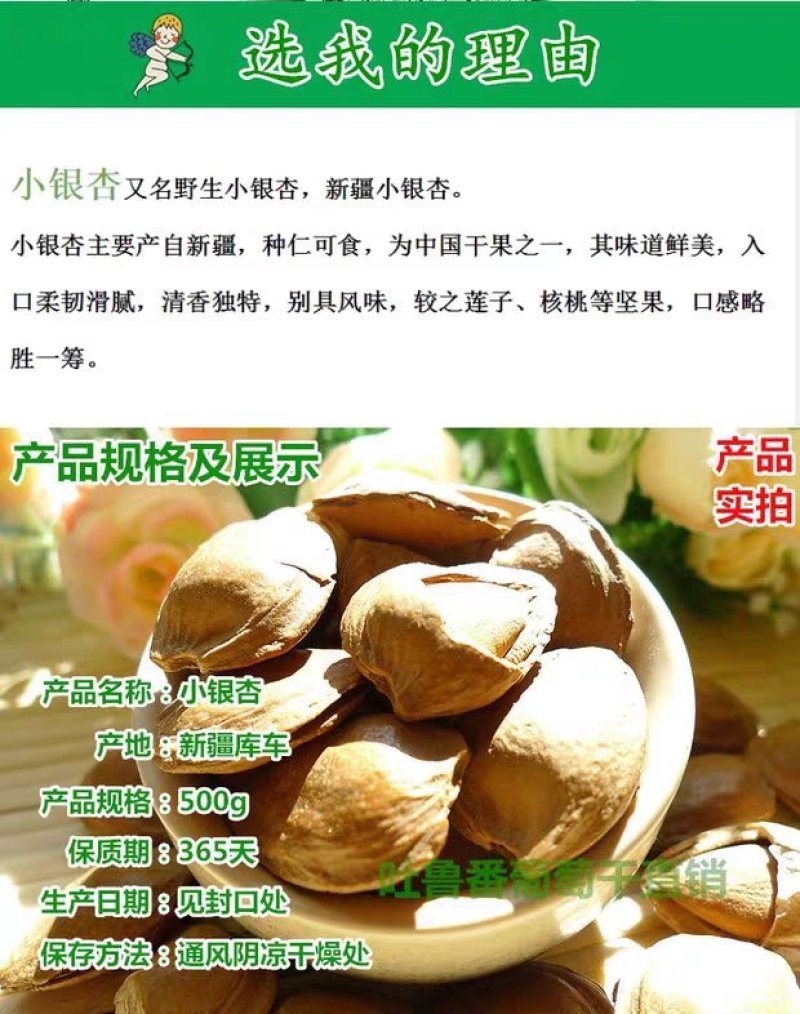 新疆特产手剥小银杏开口白硬壳500g坚果干果厂家直销包邮