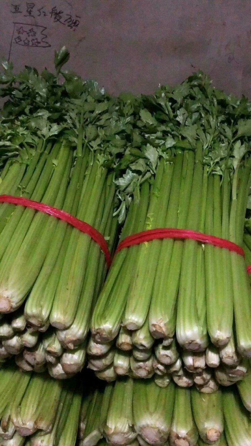芹菜【河南开封通许万亩基地直供高质量高标准】