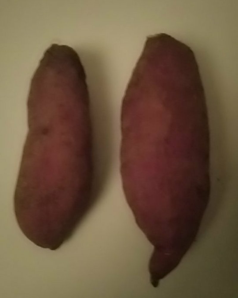 红薯