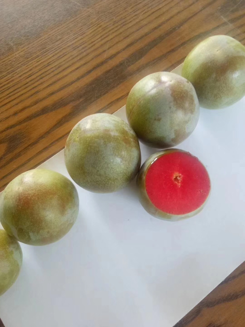 恐龙蛋李子，味帝李子，各种规格小苗，定值树