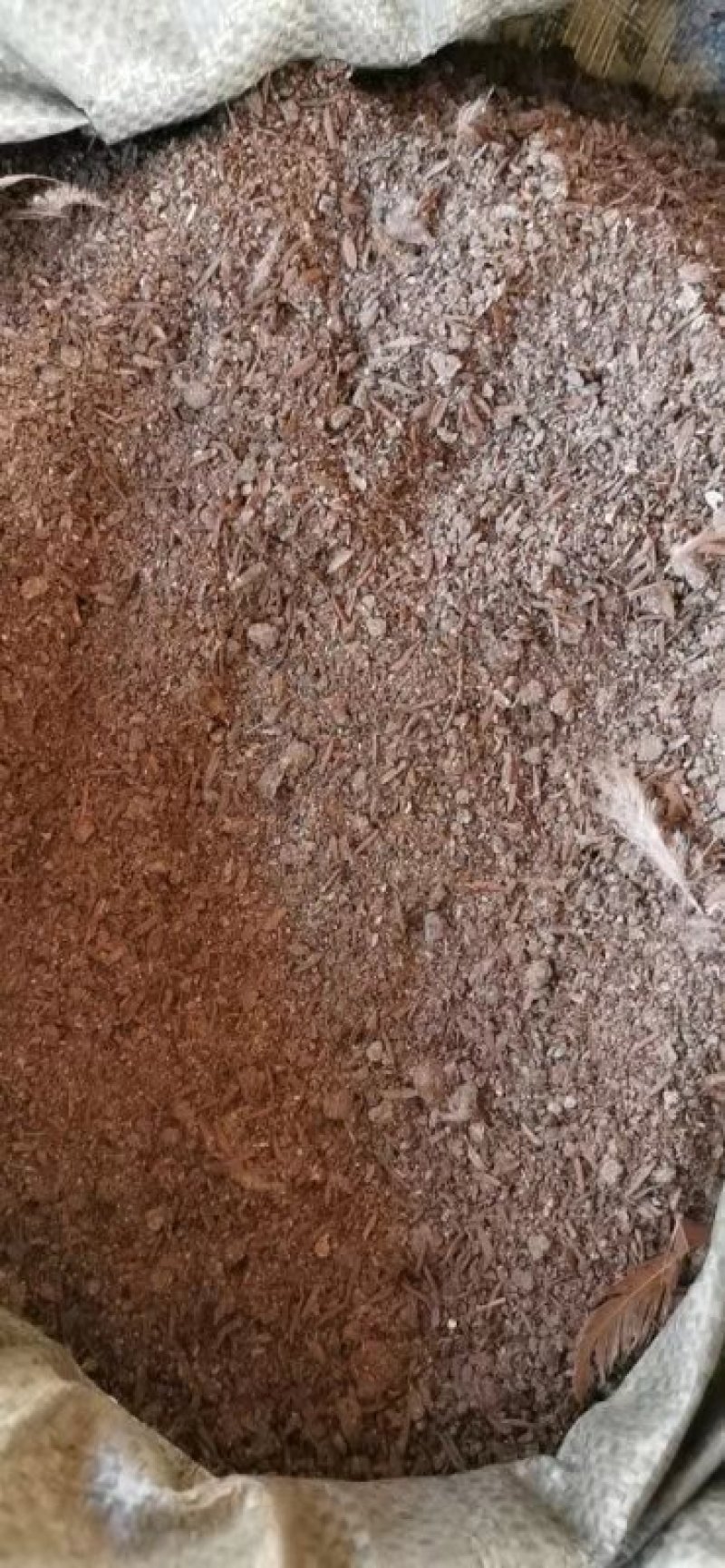 长期销售少量谷壳的干鸡粪，果蔬好低肥，价廉物美