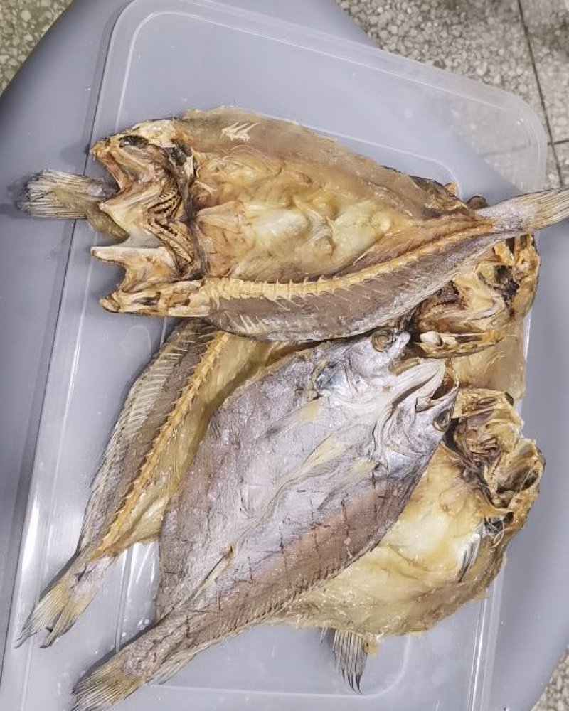 鳘鱼干
