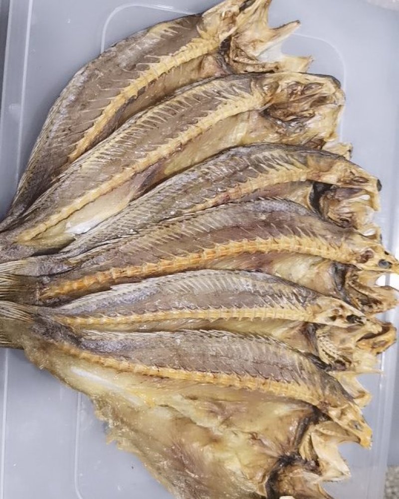 鳘鱼干