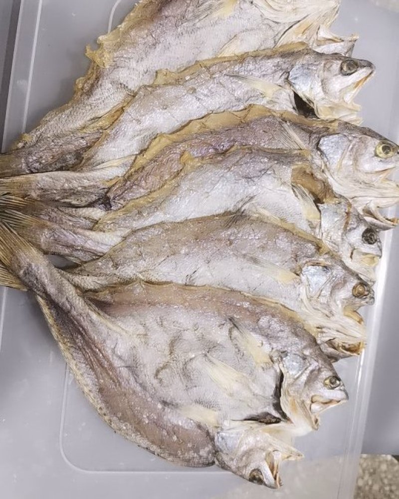 鳘鱼干
