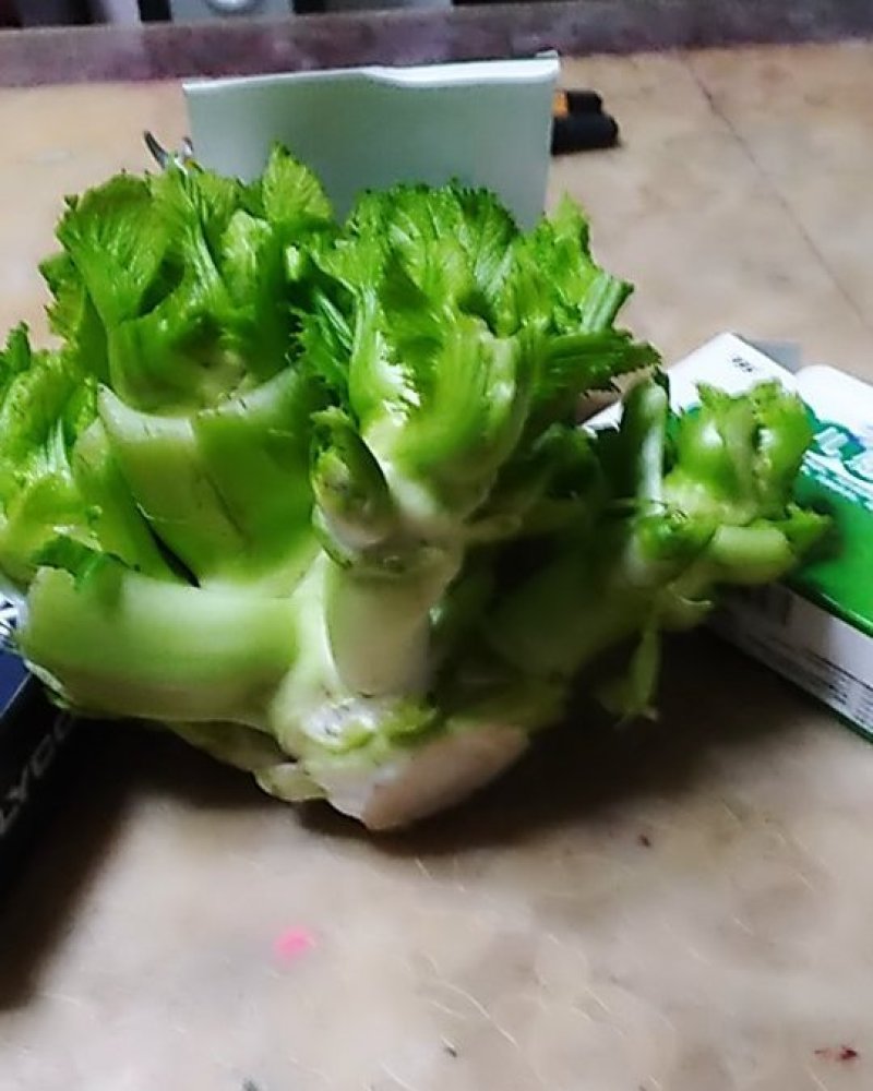 保证质量量大从优