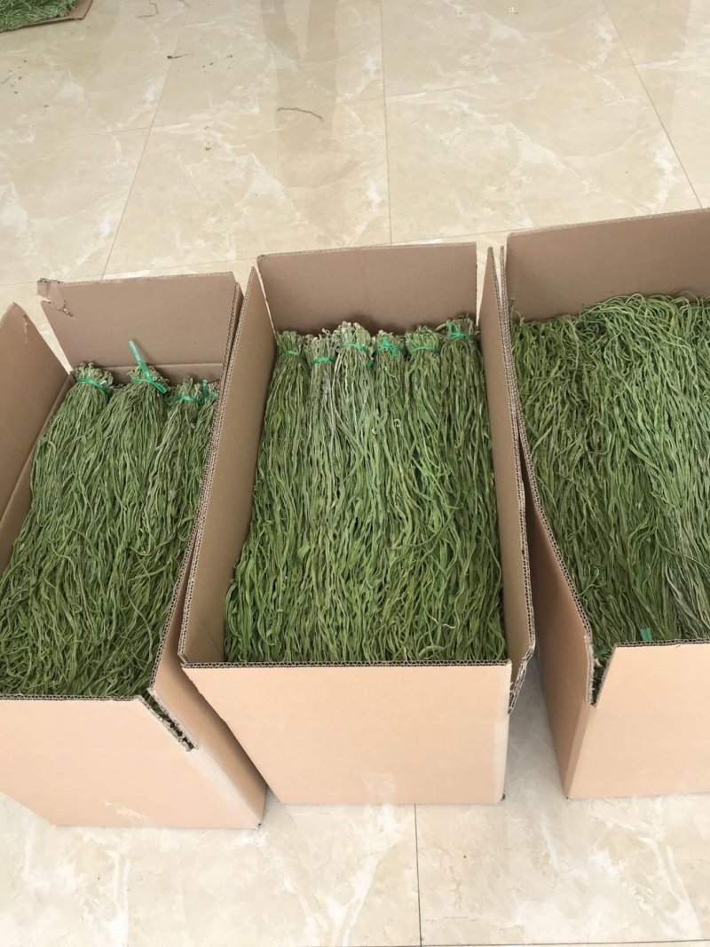 云南大理贡菜强二级漂亮