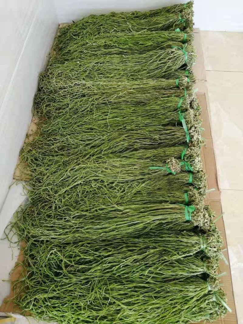云南大理贡菜强二级漂亮