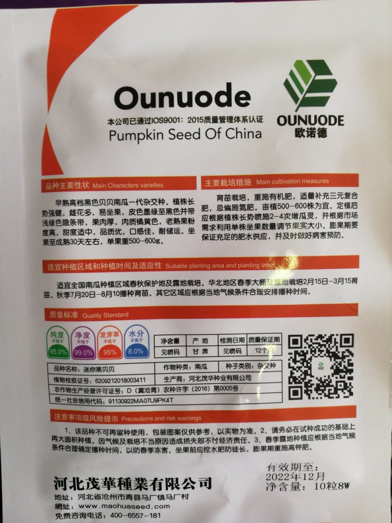 【精选】迷你黑贝贝种子南瓜种子甜度高糯型强产量高