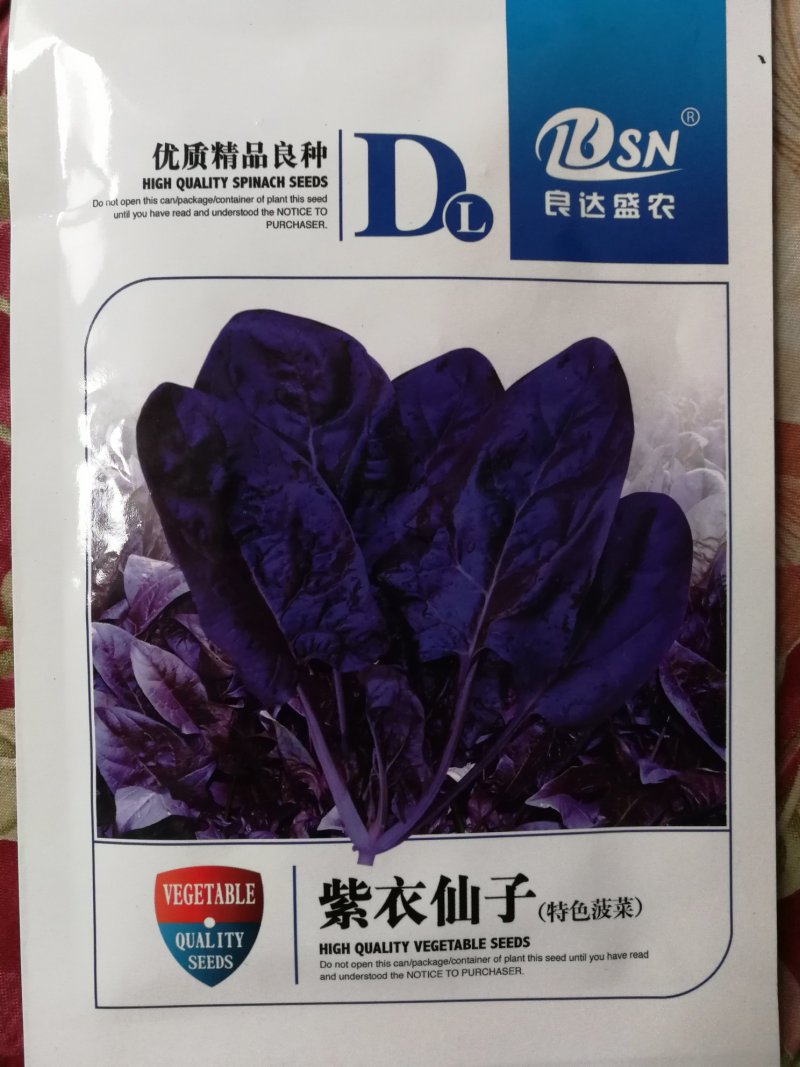 【精选】紫色菠菜种子抗病好叶片厚实产量高口感佳