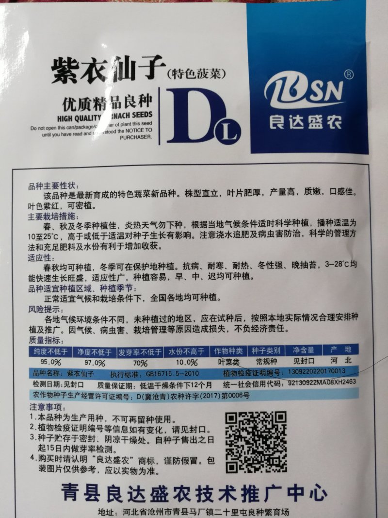 【精选】紫色菠菜种子抗病好叶片厚实产量高口感佳