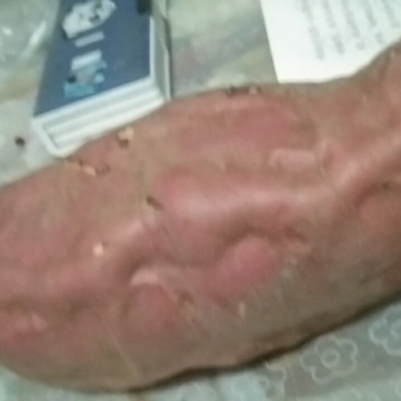 红薯烟25