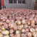 富士膜袋，75以上不封顶，