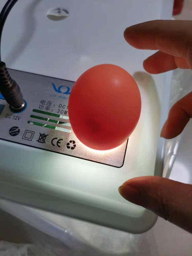 新伟达水床孵化机全自动小型家用型孔雀孵蛋器鸭鹅鸽子小鸡孵