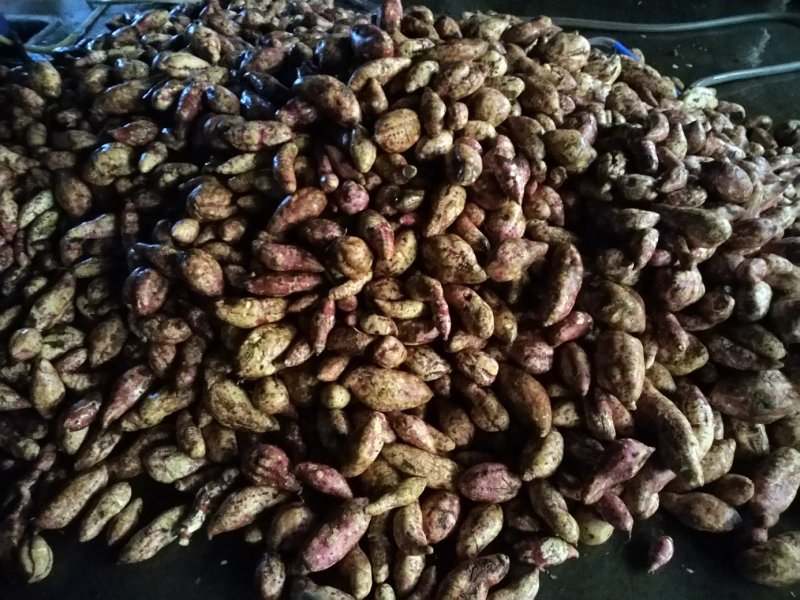 纯红薯淀粉