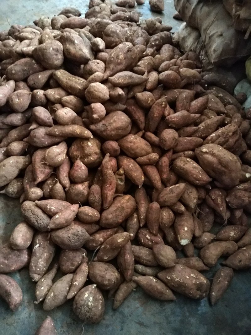 纯红薯淀粉